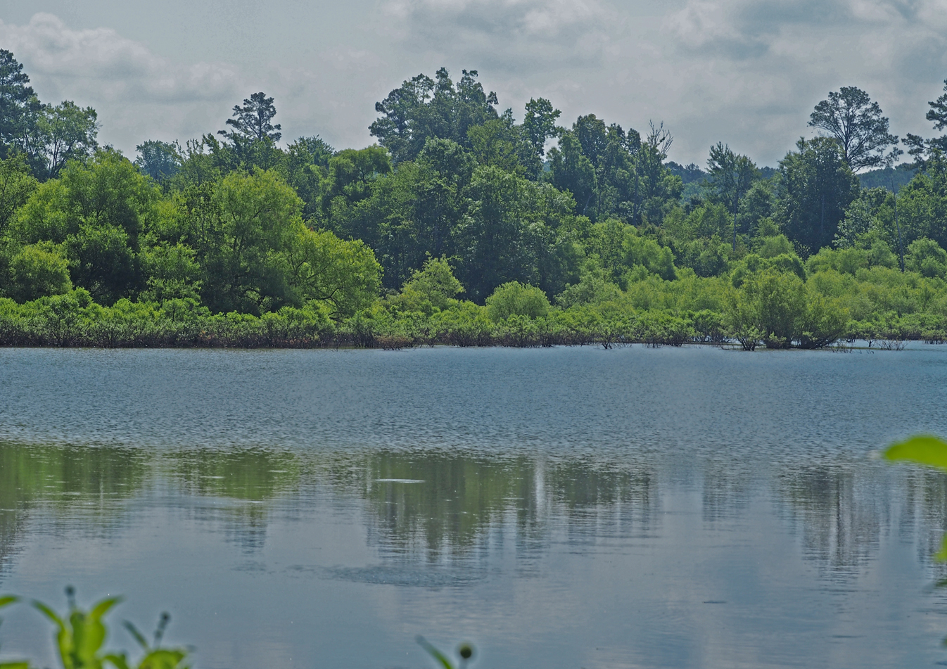 Jordan Lake at the NC 751 Bridge